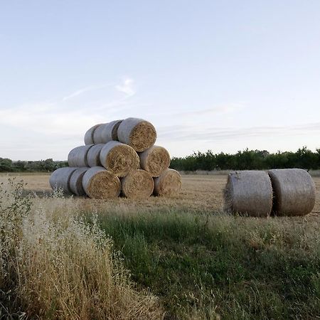Agrimat Salento Sas Villa Alezio Dış mekan fotoğraf