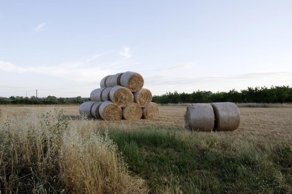 Agrimat Salento Sas Villa Alezio Dış mekan fotoğraf