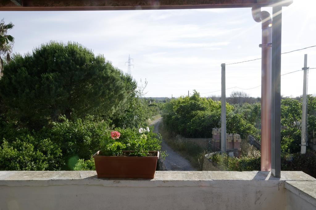 Agrimat Salento Sas Villa Alezio Dış mekan fotoğraf