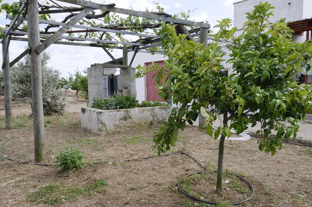 Agrimat Salento Sas Villa Alezio Dış mekan fotoğraf