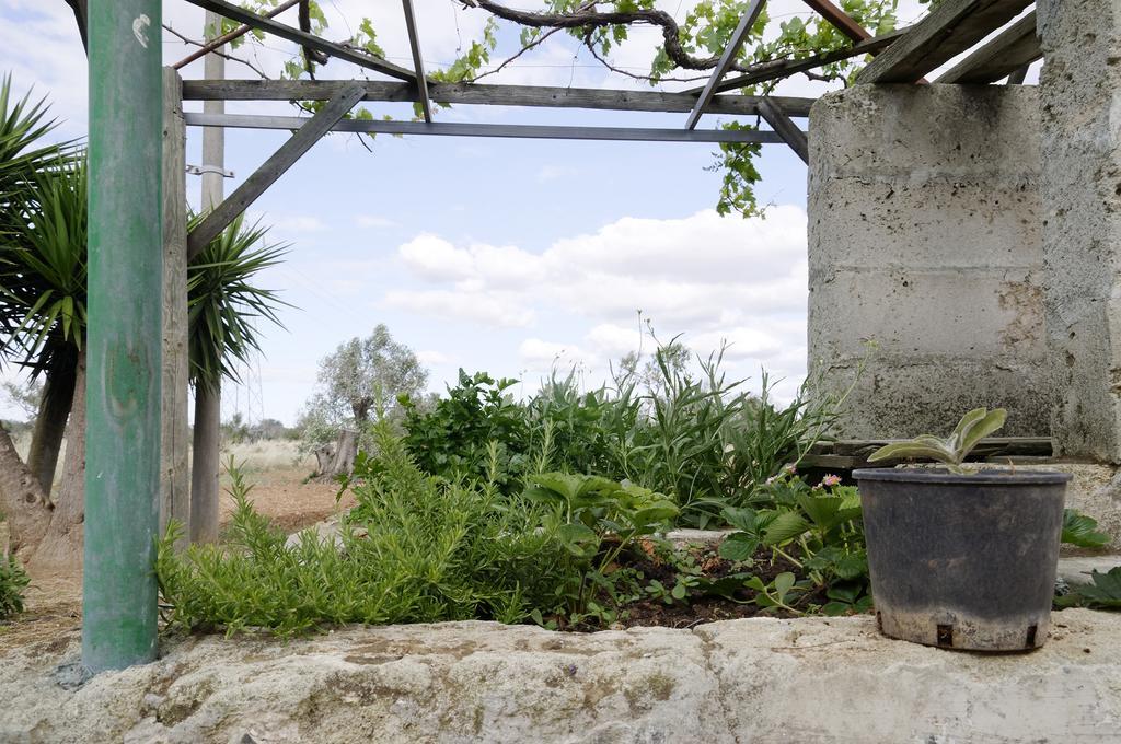 Agrimat Salento Sas Villa Alezio Dış mekan fotoğraf